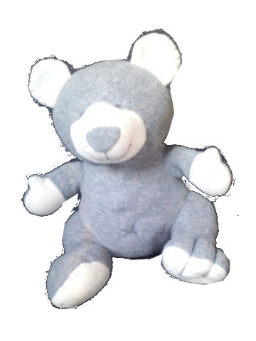 Bild eines grauen Teddys