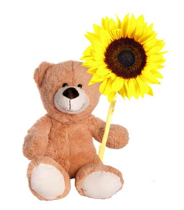 Bild eines Teddys mit Sonnenblume